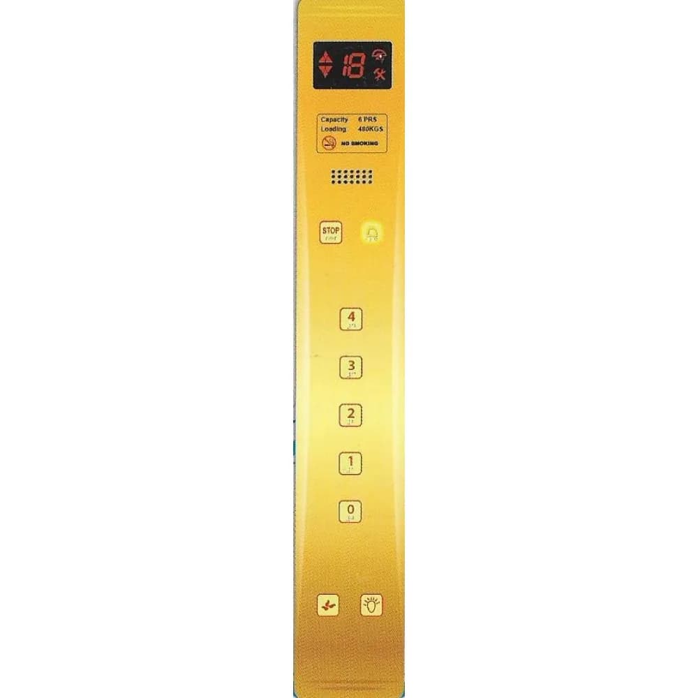بوتونيرة المتحدة LGSS 0100